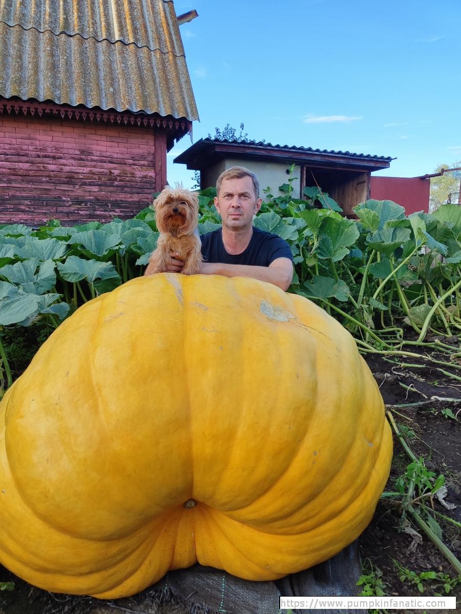 fruitImages/959 Zabolotnik 2025C.jpg